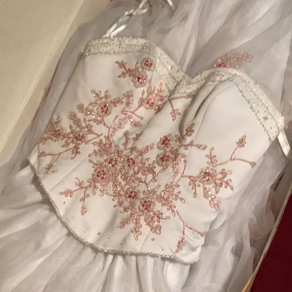 Quincenera dress never been used - Picture 5 of 6